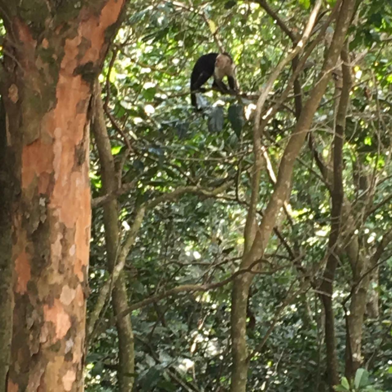 Globi Lodge #2 Monteverde ภายนอก รูปภาพ